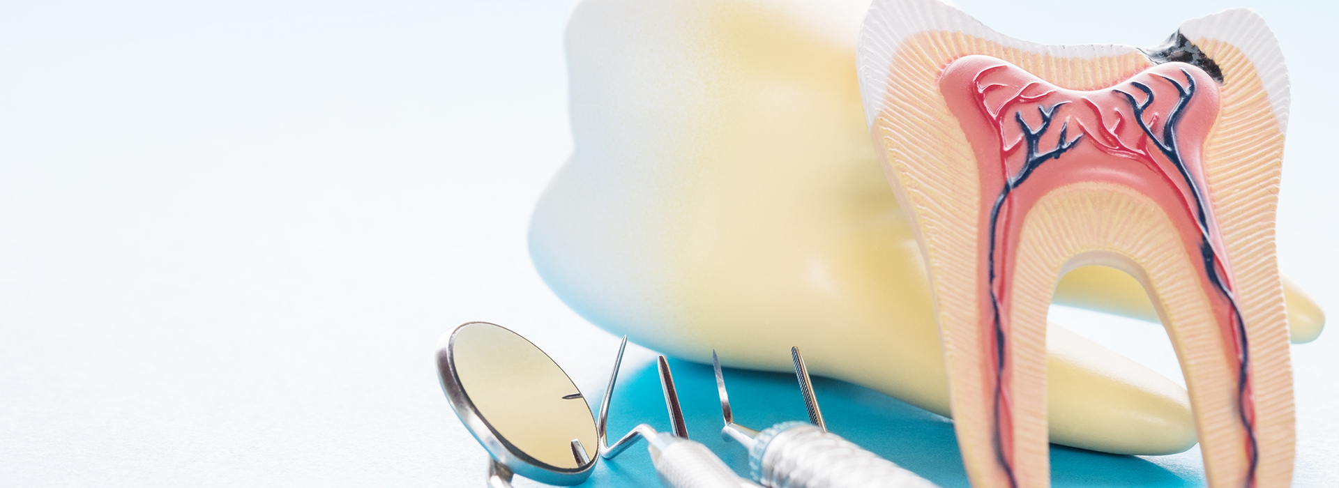 The image features two pairs of children s toothbrushes with colorful bristles and handles, placed against a plain background.